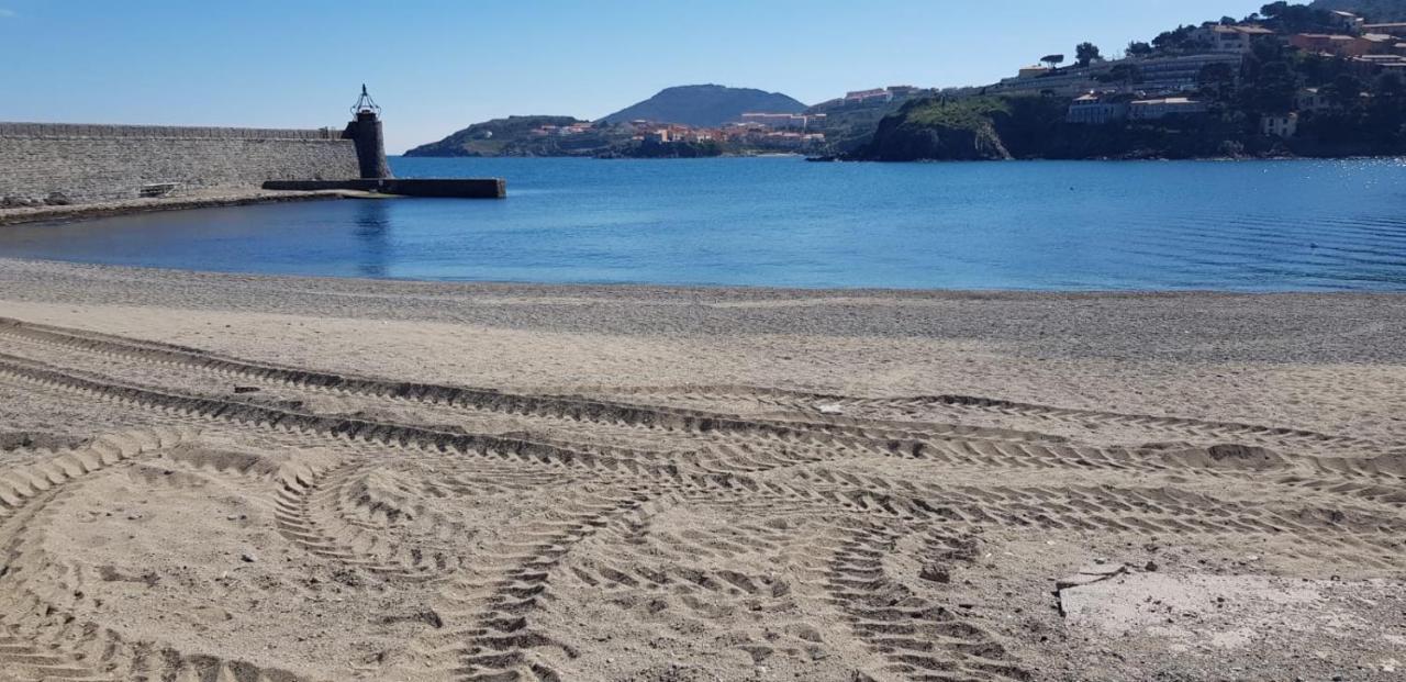 Centre * Collioure