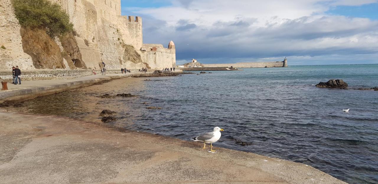 Centre Apartamento Collioure